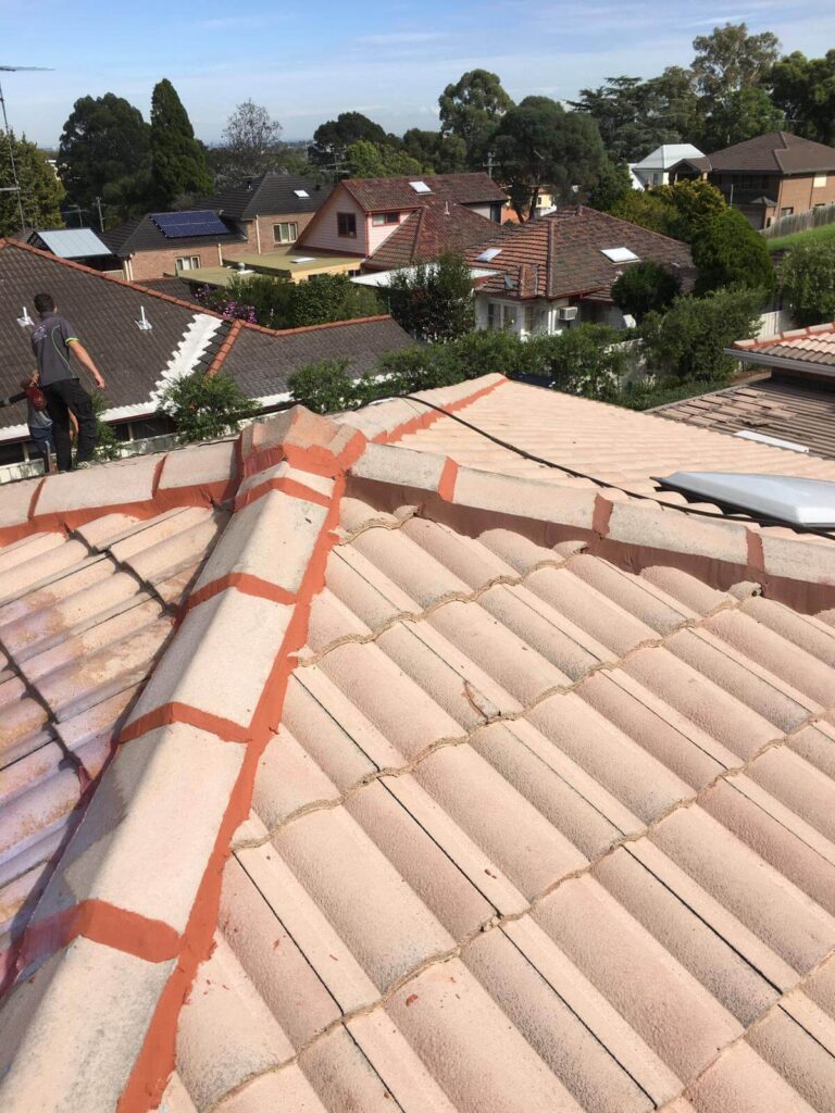 Roof Restoration, Maintenance and Repair Specialists in Sydney