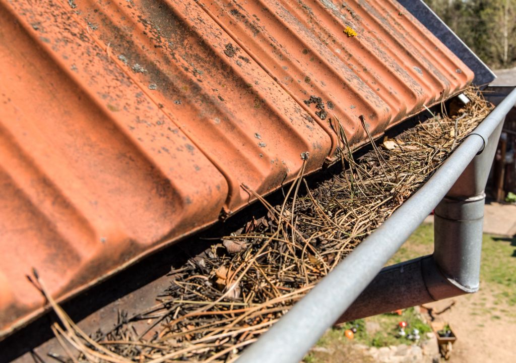 Gutter Cleaning North Shore